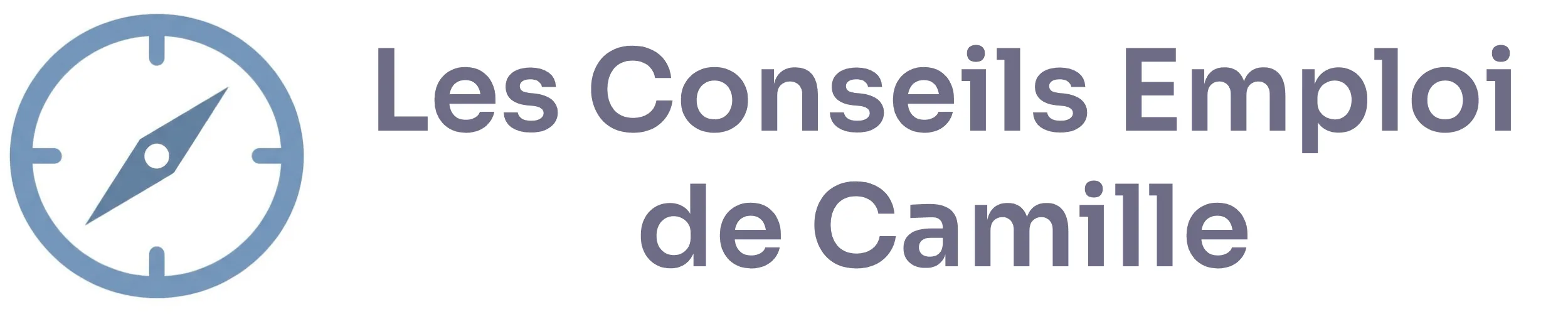 Les Conseils Emploi de Camille